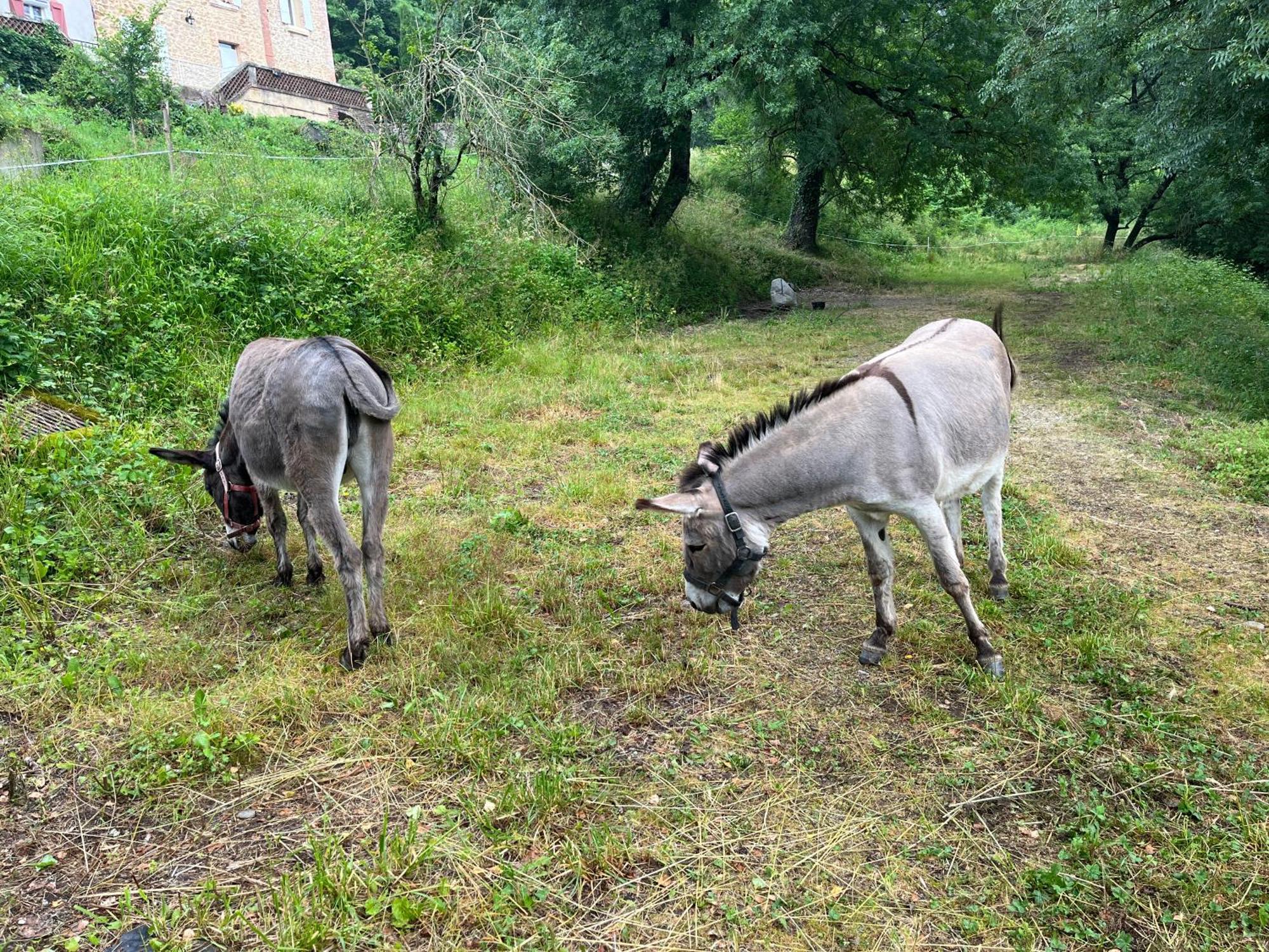 Chateau Lou Cante Perdrix La Vernarede Buitenkant foto